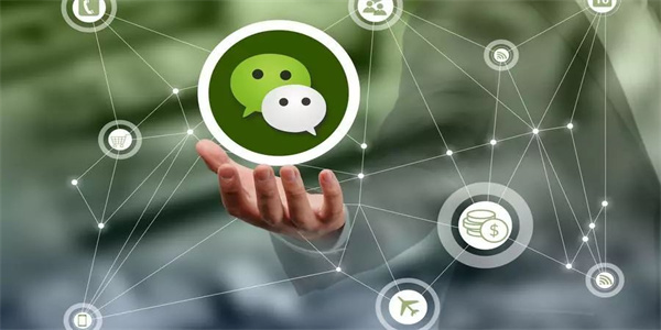 微信个人信息怎么导出 微信个人信息导出方法