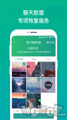 语音恢复大师