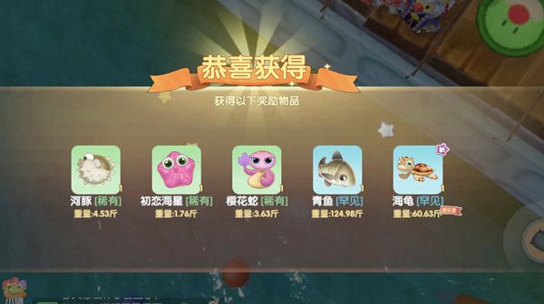 摩尔庄园海龟位置