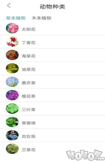 品植