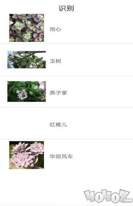 品植
