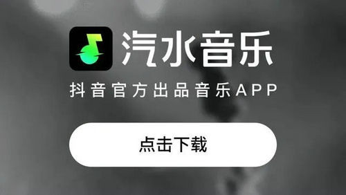 汽水音乐是哪个平台的