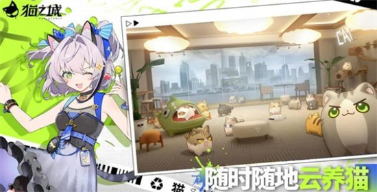 猫之城
