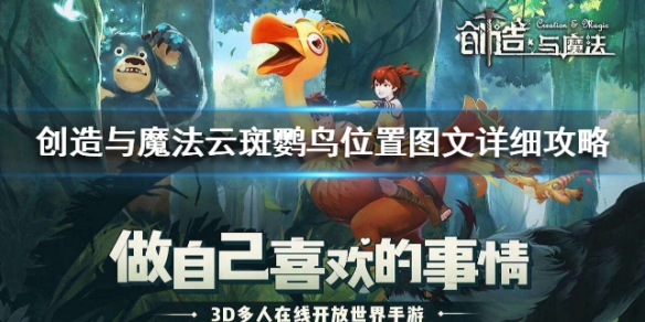 创造与魔法云斑鹦鸟位置