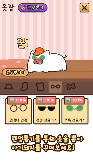 饲养小猪