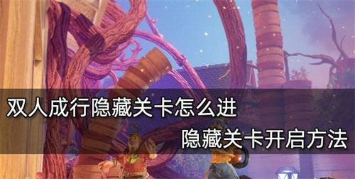 双人成行隐藏关卡