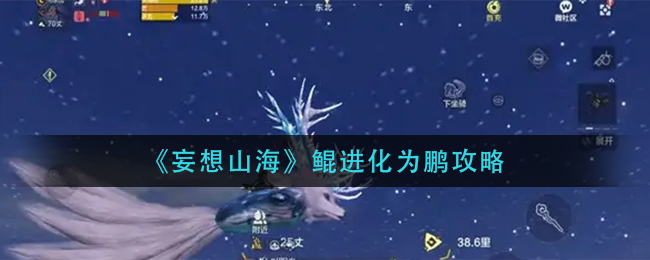 妄想山海鲲怎么进化鹏