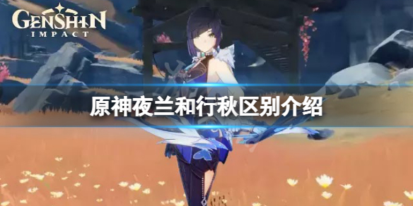 原神夜兰和行秋哪个好