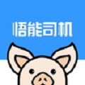 悟能司机app最新版