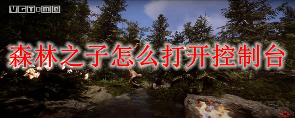 森林之子控制台