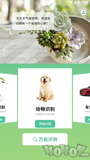 动植物识别