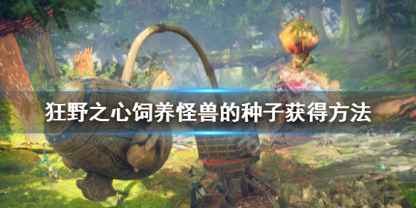 狂野之心饲养怪兽的种子