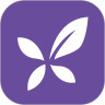 丁香园app官方下载
