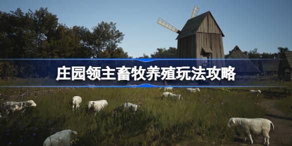 1714635918XKUN.jpeg