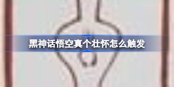 172543582297SZ.jpeg