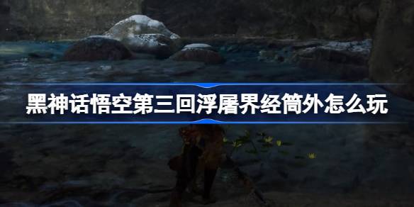 1724478372irfm.jpeg