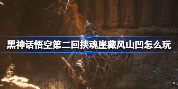 1724306841Azw8.jpeg