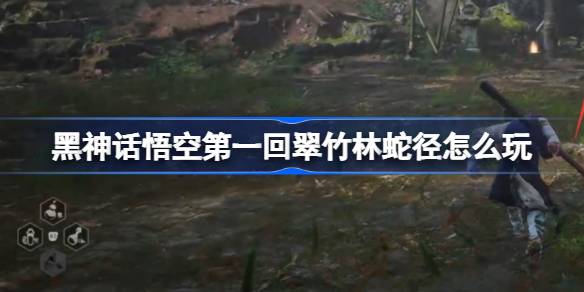 1724294598kNr3.jpeg
