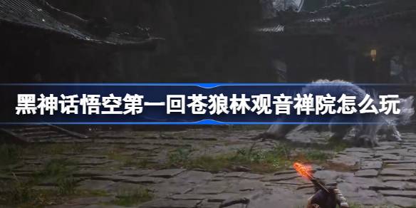 1724293792ZD1z.jpeg