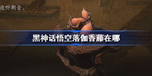 1724139683fNm2.jpeg
