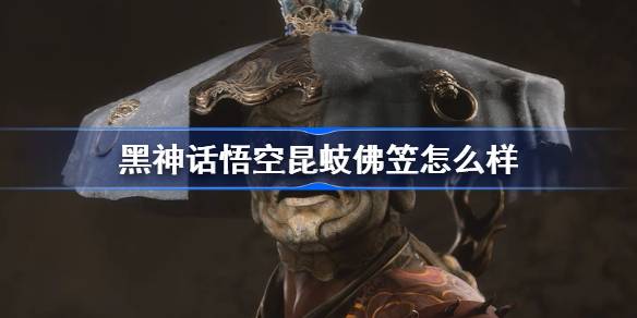 1724131226XjwV.jpeg
