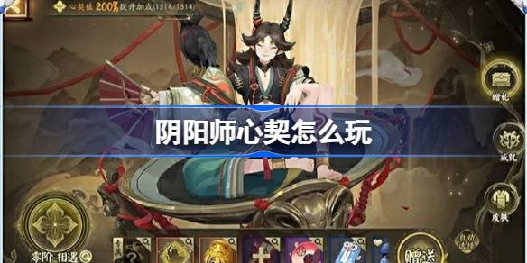 1733822055RLC1.jpeg
