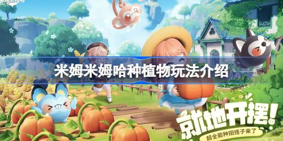 17395010177nf5.jpeg