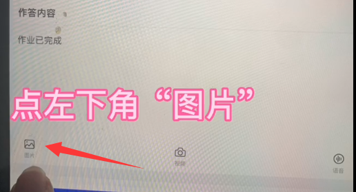 1723001581582.png