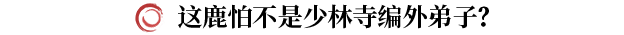《剑灵2》鹿角大王打法攻略