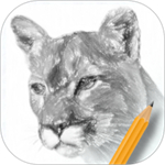 素描入门教程app安卓版