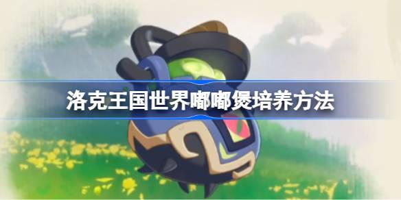 17464332955ZvS.jpeg