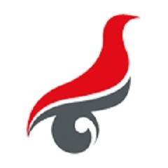 学信网app最新安卓版本2025