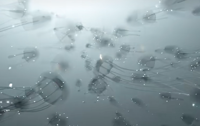 20250822114252584.png
