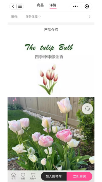 七彩荔枝