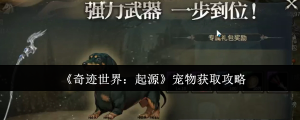 《奇迹世界：起源》宠物获取攻略