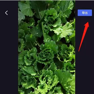 1757066138694.png