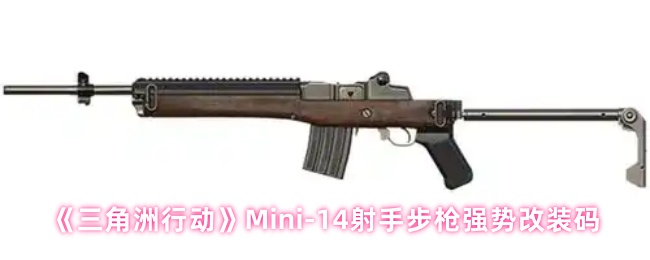 《三角洲行动》Mini-14射手步枪强势改装码