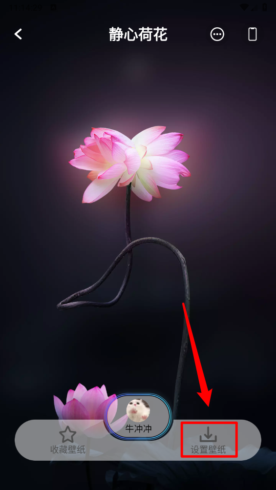 哇叽壁纸锁屏壁纸设置方法