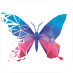 斑斓壁纸app最新版下载