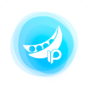 豌豆代理ip手机版下载安装最新版